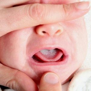 ����� ���� �� ����� ���������: ������� � ��������