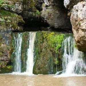 ֳ���� ���� � ������ � �������