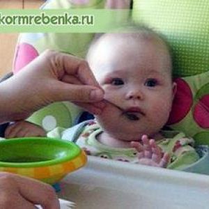 ����� ������ ���� ����� ������� ����� �������