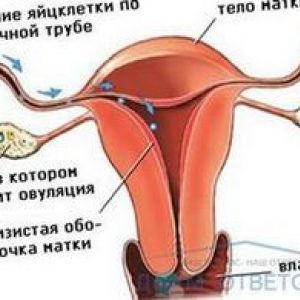 ���� 32 35 ���� ���� ��������