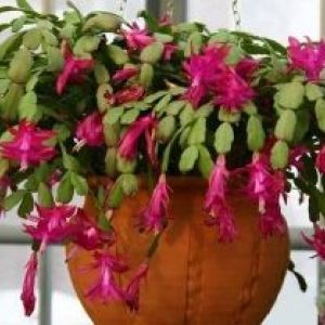 ��������� � ������ ���: ���������� ������� �� ������� ������