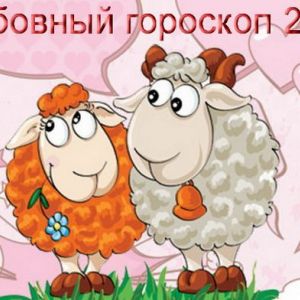 �������� �������� �� 2015 ��