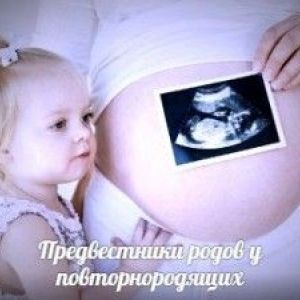 ����������� ������ � ���������������