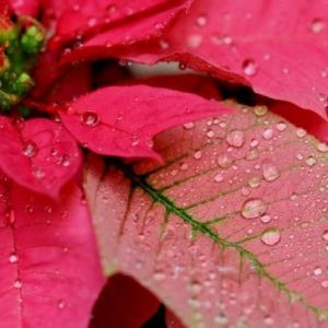 �������� - ������ � �������� ������