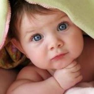 ������ ���� ���� ������� ����������