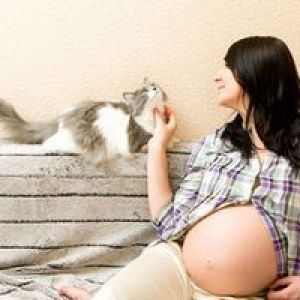 � ���� ����� ����� ����� �������